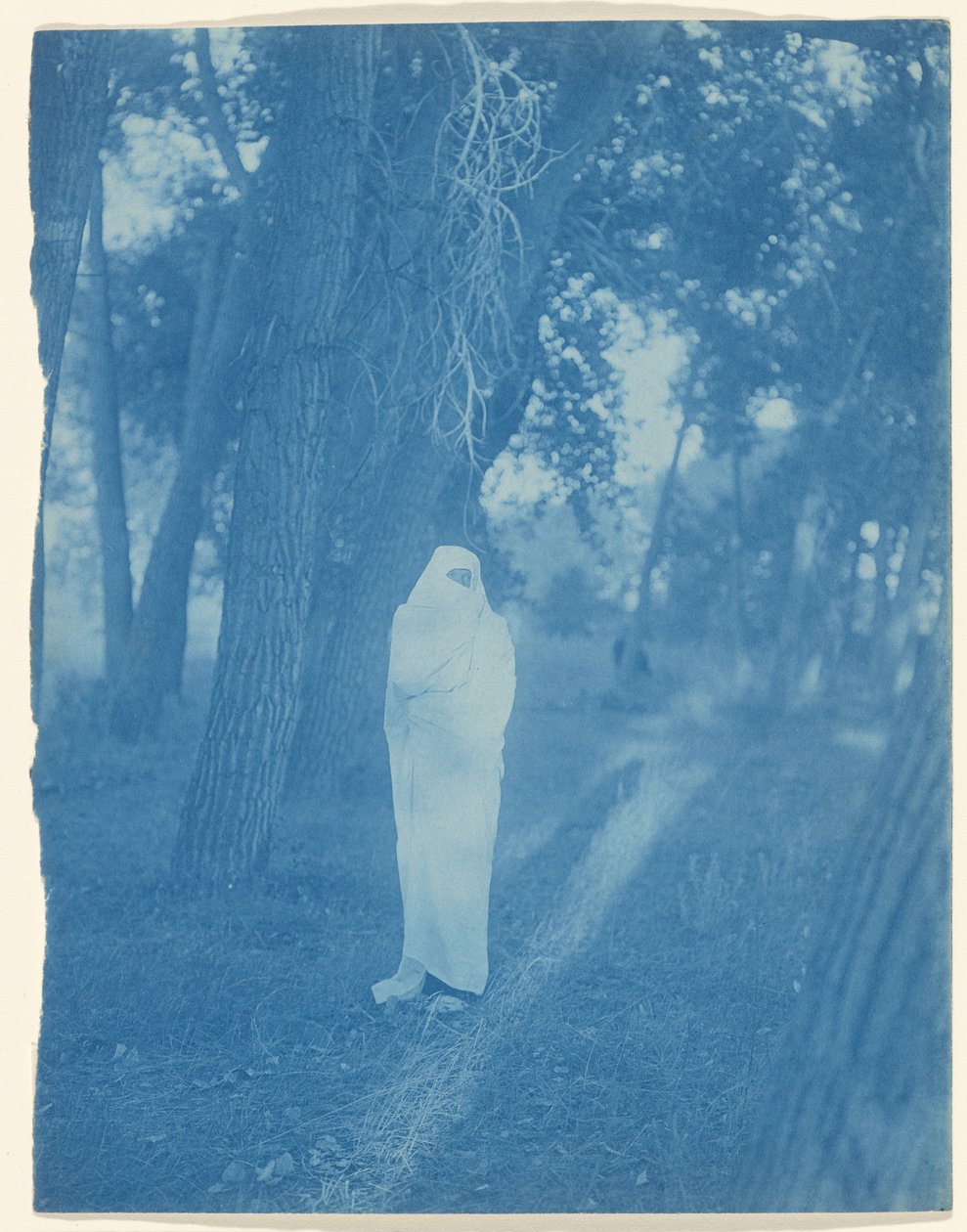Wachten in het bos - Cheyenne door Edward S. Curtis