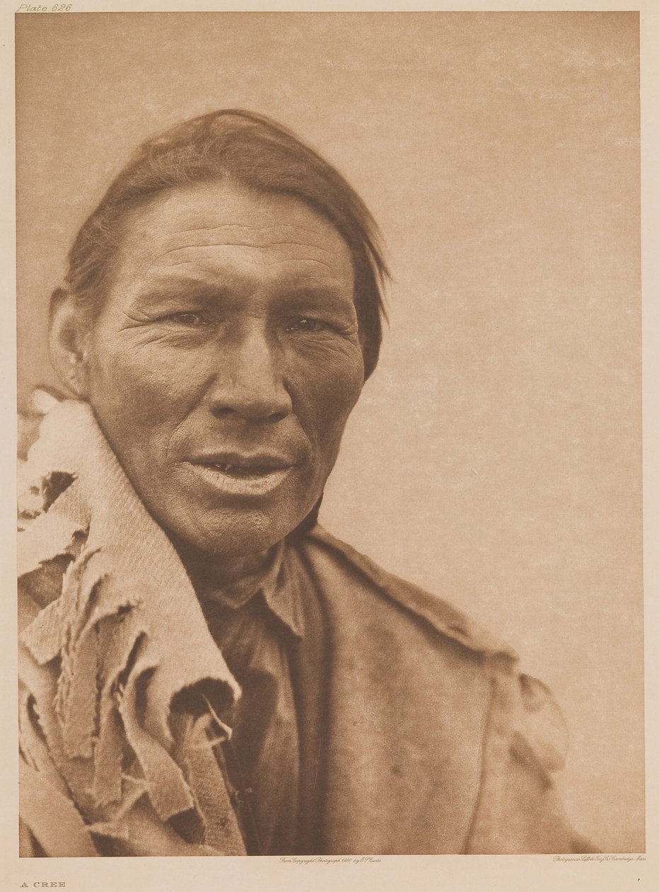 Een boom door Edward Sheriff Curtis
