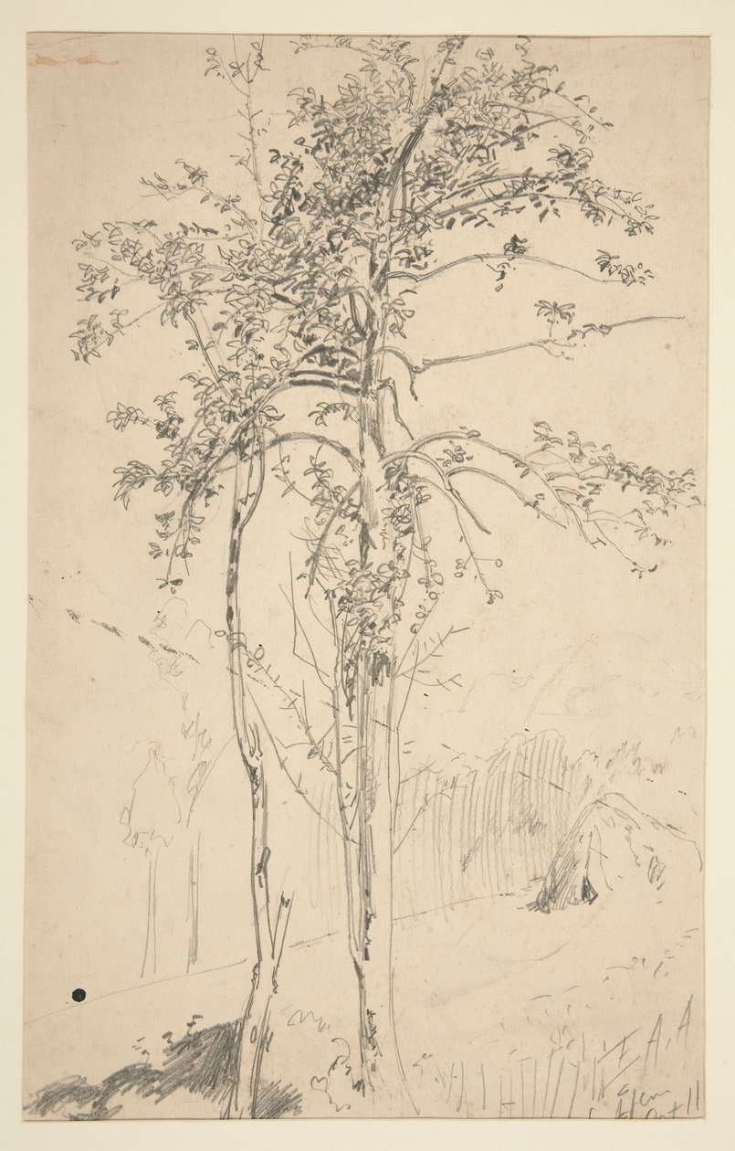 Studie van twee bomen door Edwin Austin Abbey