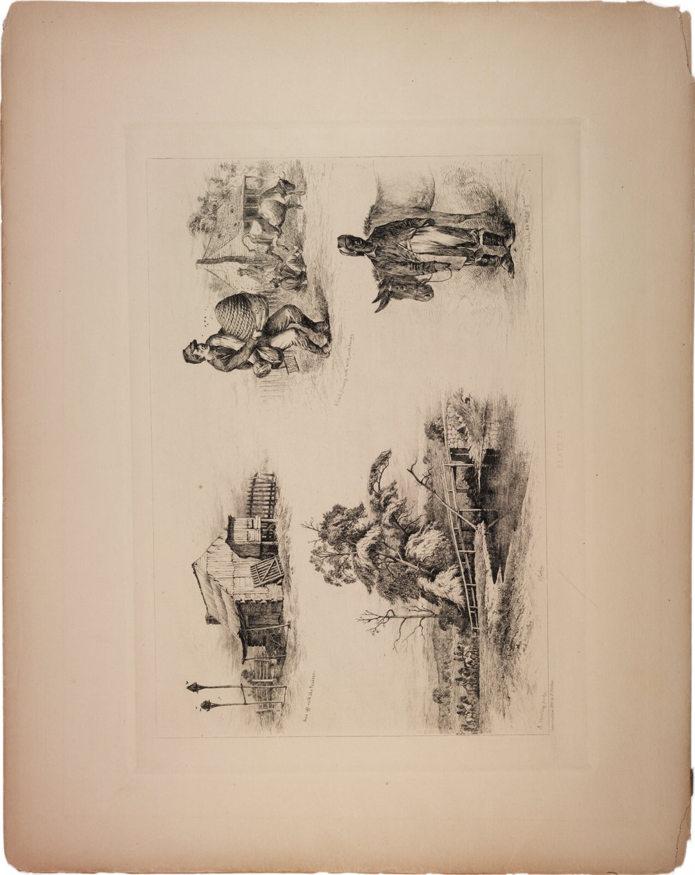 Weg met de Yanks door Edwin Austin Forbes