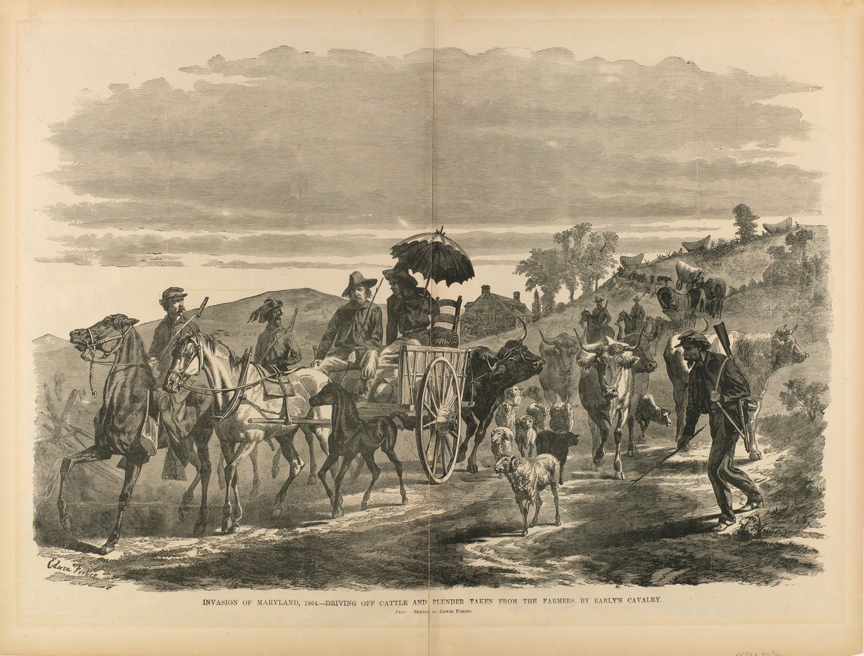 Invasie van Maryland, 1864--Verwijdering van vee en plundering van boeren door de cavalerie van Early, uit "The Soldier in Our Civil War". door Edwin Forbes