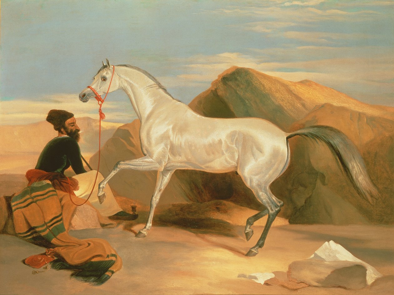 Arabisch hengst door Edwin Landseer