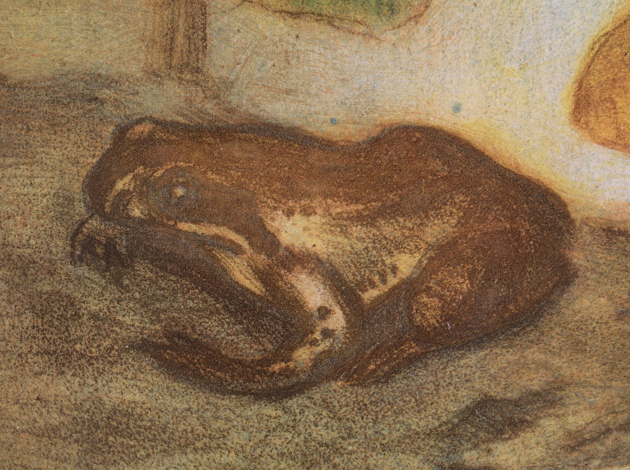 Kikker met dotterbloem door Eero Järnefelt