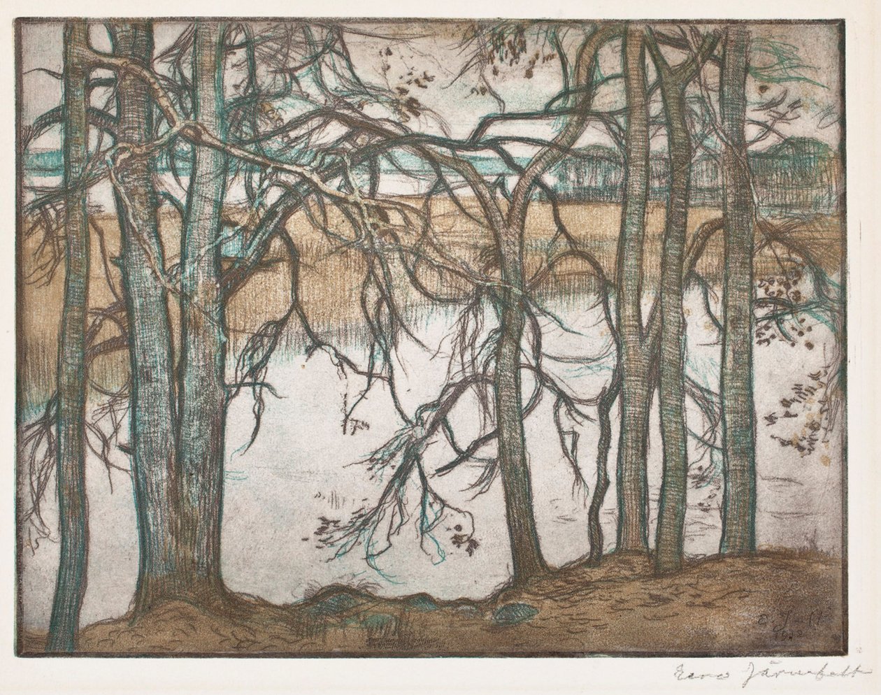 Oever met riet door Eero Järnefelt
