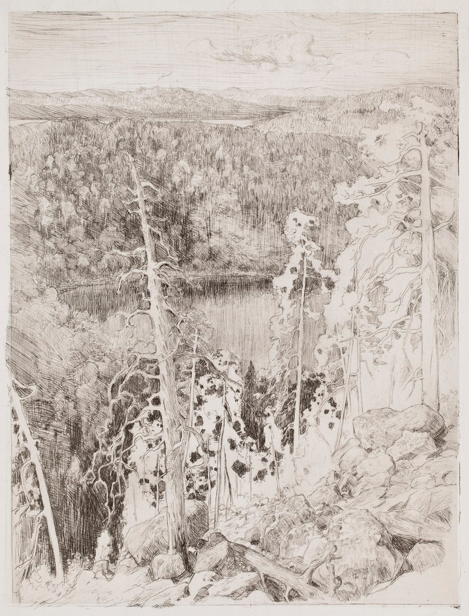 Landschap vanuit Koli; Boslandschap vanuit Räsävaara door Eero Järnefelt