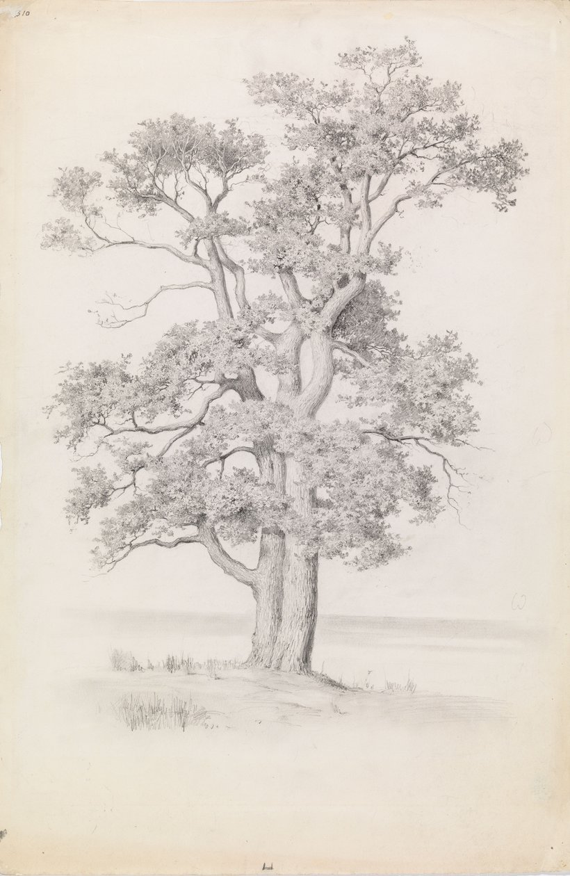 Eik door Eero Järnefelt