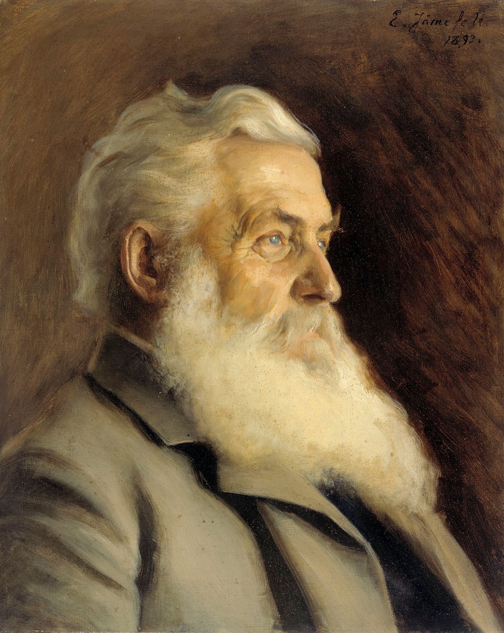 Portret van de heer Ahnger door Eero Järnefelt