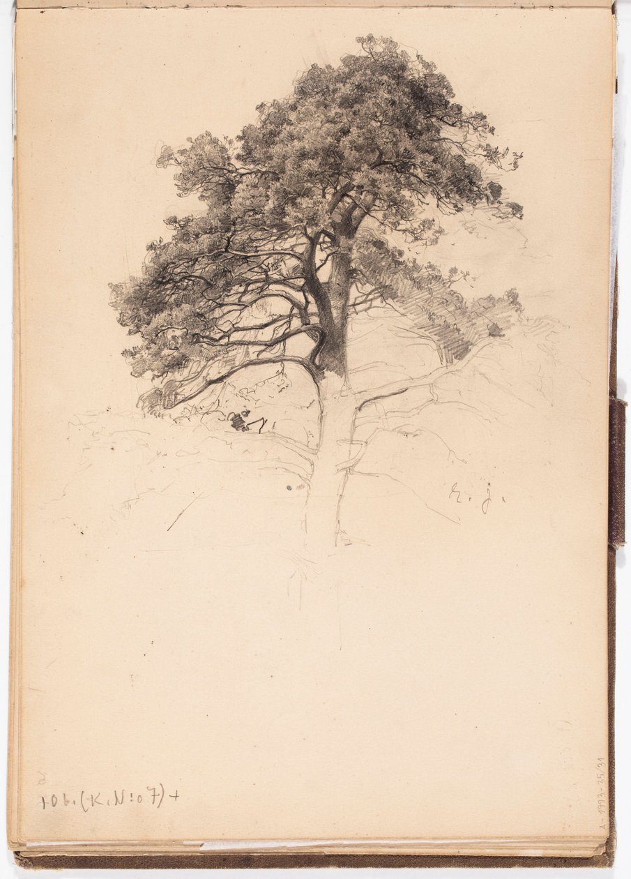 Top van een den, pagina uit Järnefelts schetsboek door Eero Järnefelt