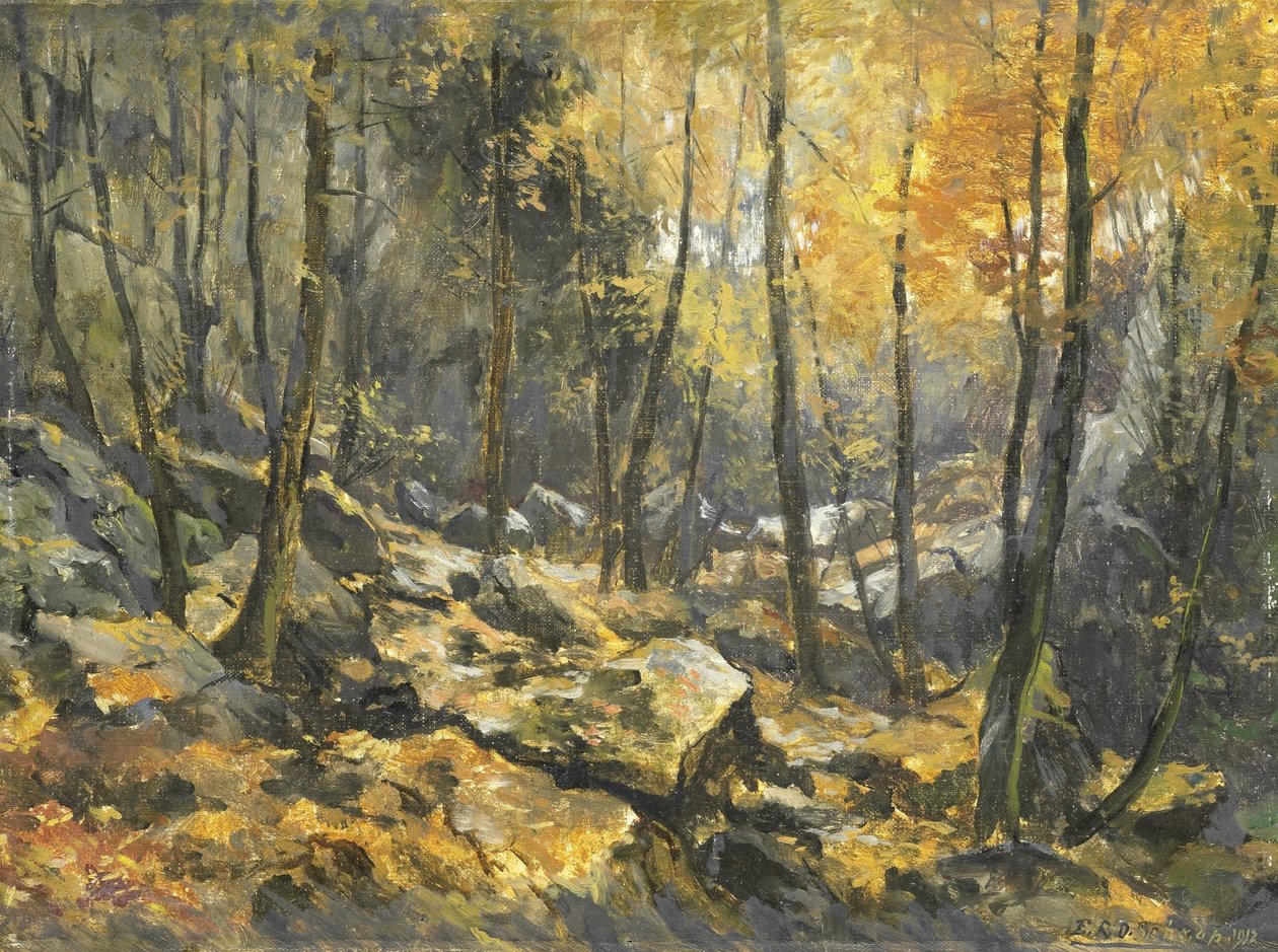 Felsenmeer door Egbert Rubertus Derk Schaap