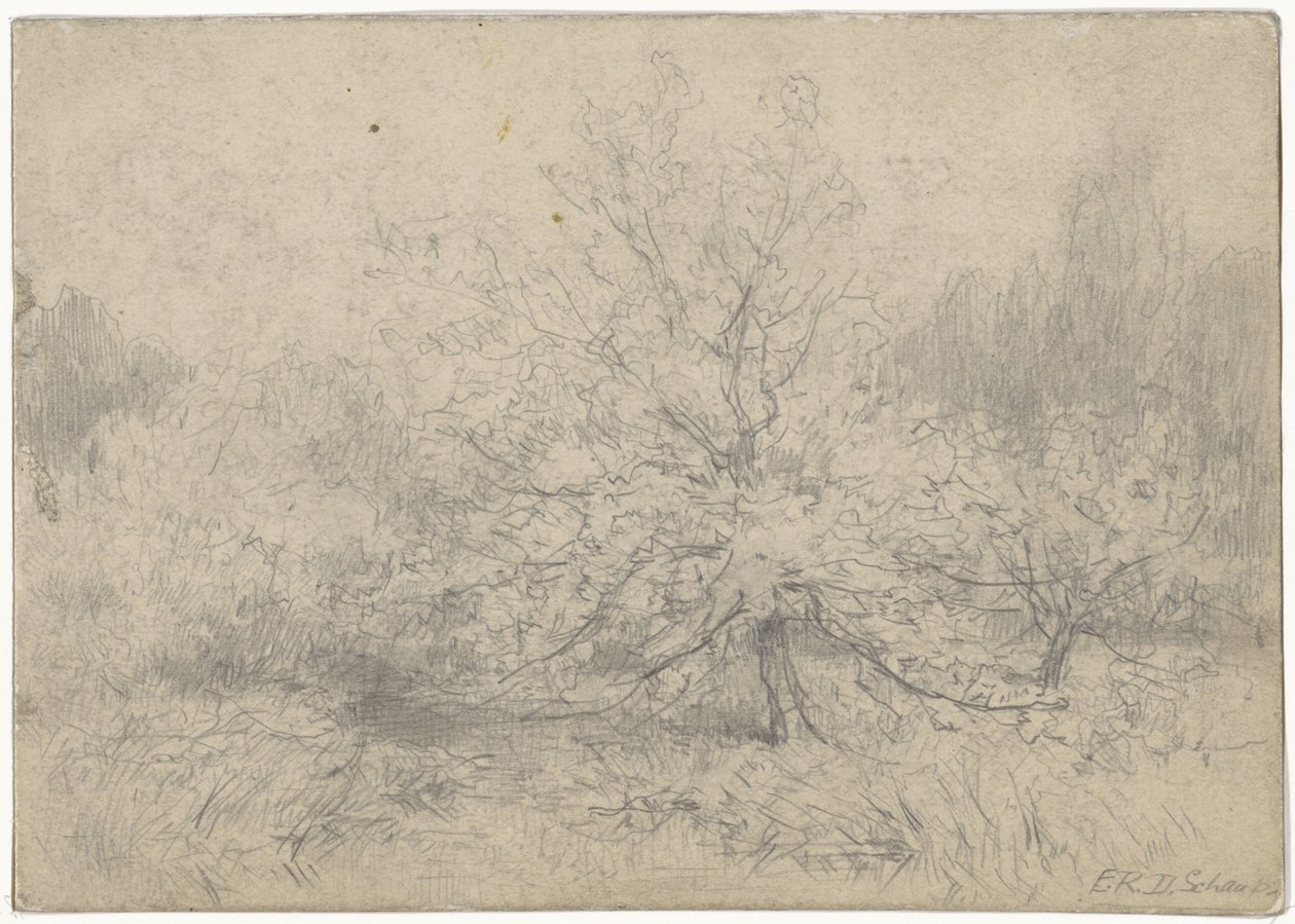 Landschap met een boom prominent in het midden door Egbert Rubertus Derk Schaap
