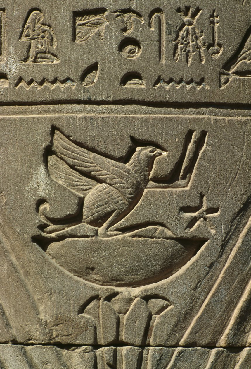 Detail van een reliëf, hiërogliefen door Egyptian