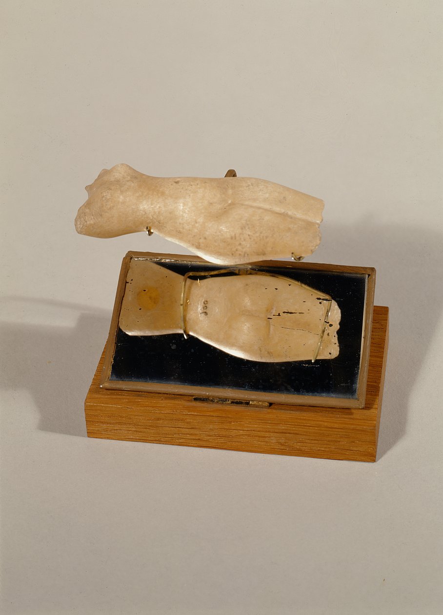Torso van een vrouw, Nieuwe Koninkrijk (albast) door Egyptian 18th Dynasty