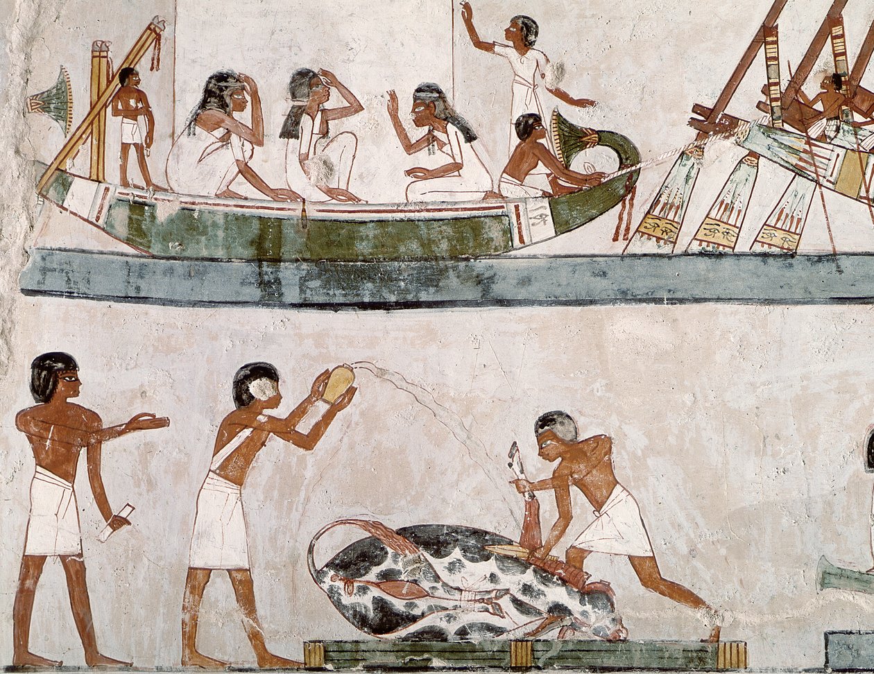 Offer en zuivering van een stier, en een zeilritueel, uit het graf van Menna door Egyptian 18th Dynasty