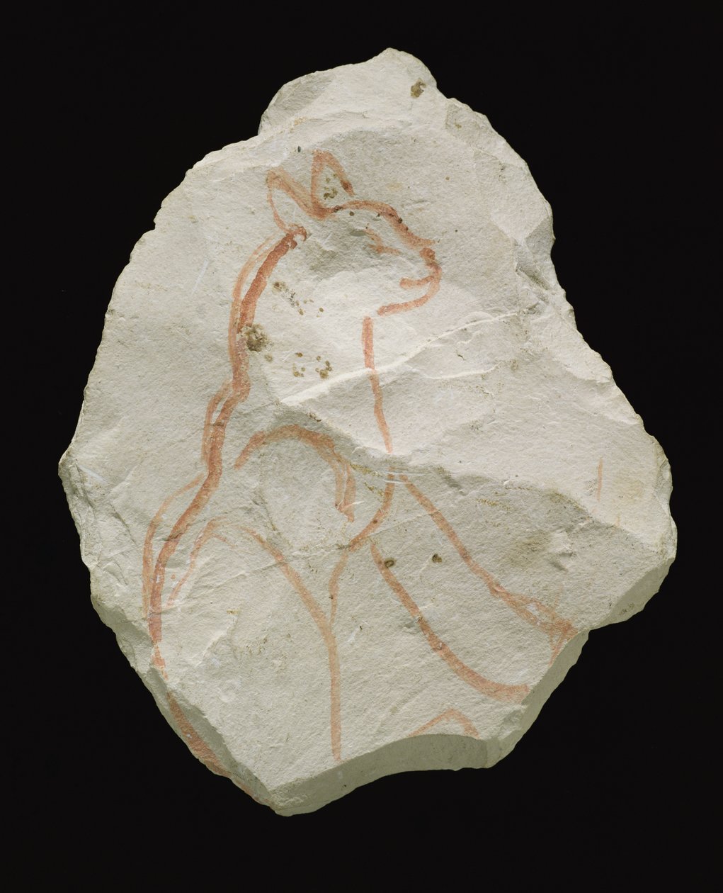 Ostracon met een zittende kat, Nieuwe Rijk door Egyptian 19th Dynasty