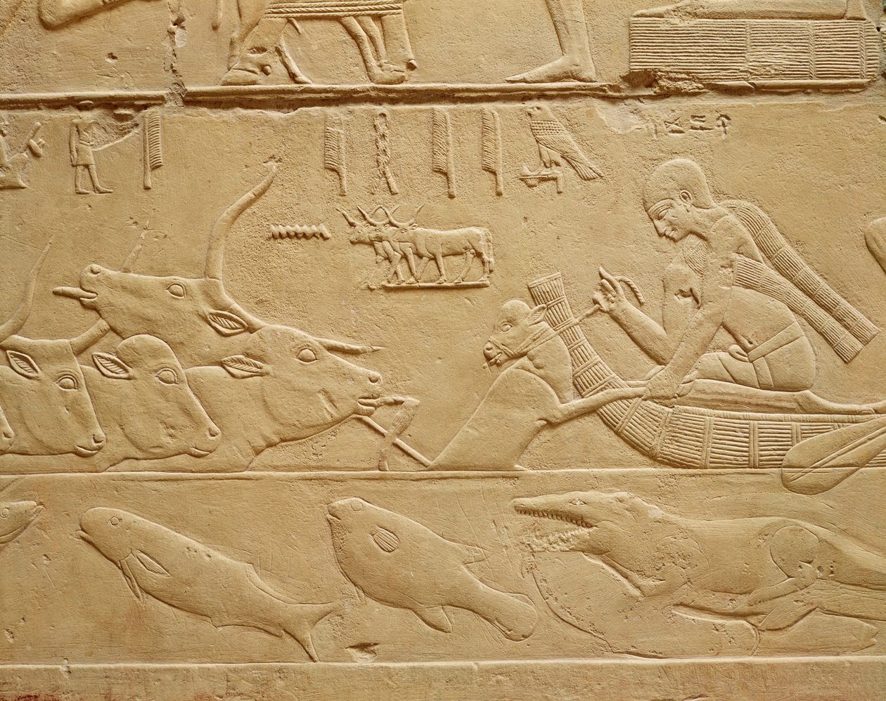 Vee dat een doorwaadbare plaats oversteekt, uit de Mastaba van Kagemni door Egyptian 6th Dynasty