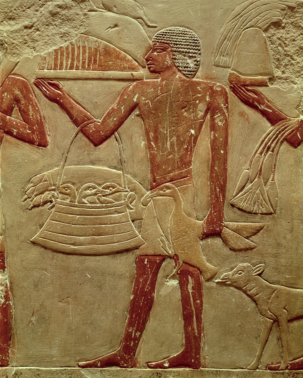 Reliëf dat een drager met een mand vol kuikens afbeeldt, uit het Graf van Prinses Idut, Oude Rijk, ca. 2330 v.Chr. (beschilderd kalksteen) door Egyptian 6th Dynasty