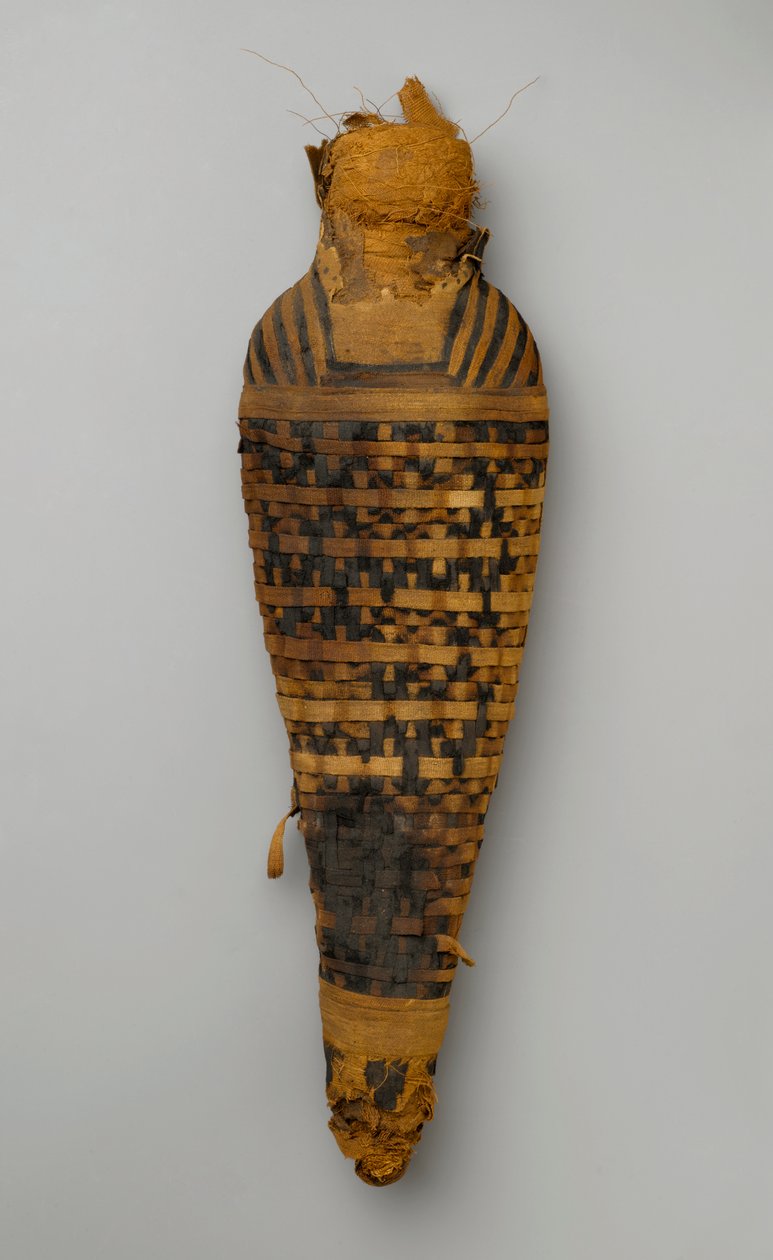 Mummie van een havik door Egyptian