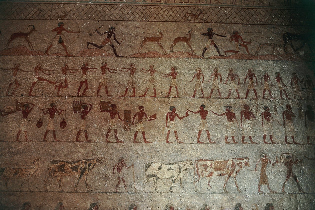 Beni-Hasan Necropolis. Graf van Amenemhat, detail: muurschilderingen die jachtscènes en het landleven uitbeelden door Egyptian 12th Dynasty