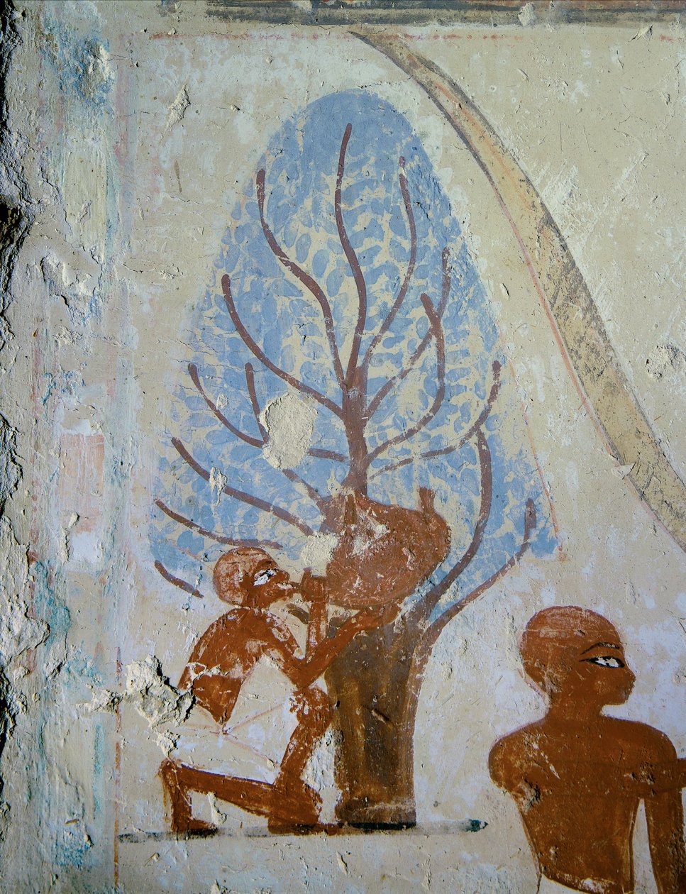 Een boer drinkt uit een waterton ... door Egyptian 18th Dynasty