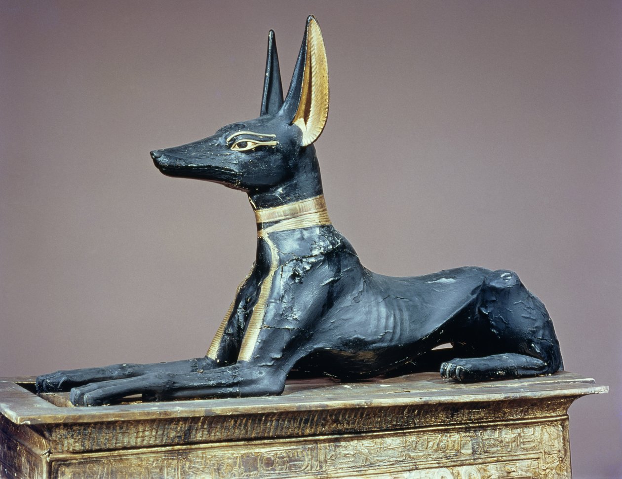 Anubis, Egyptische god van de doden, uit een kist in de vorm van een
