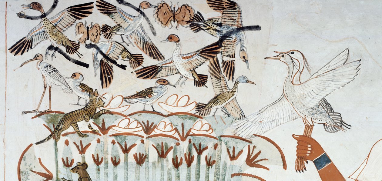Eenden, nesten, vlinders, katten en knaagdieren, detail van de jacht- en visscène in de moerassen, fresco, noordmuur, langwerpige kamer, Thebaanse graf TT69, Sheikh Abd el-Qurna, Thebe. Egyptische beschaving, Nieuwe Rijk, Dynastie XVIII. door Egyptian 18th Dynasty