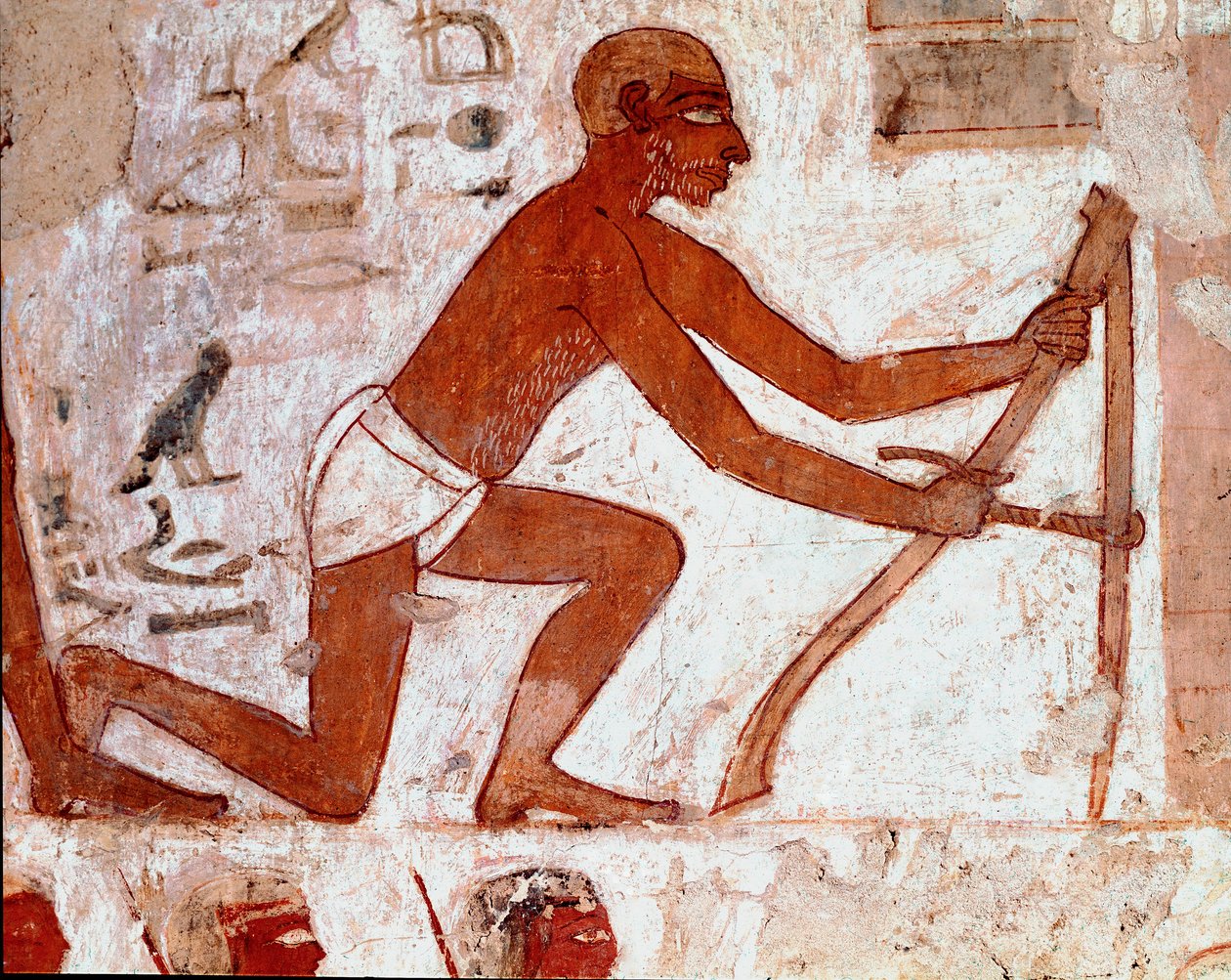 Egyptische kunst: Graf van Rekhmire. Ploeger aan het werk met zijn landbouwgereedschap. Fresco van Luxor (Site van Thebe, Necropolis van Sheikh Abd al-Gournah, linkeroever van de Nijl, Egypte) door Egyptian 18th Dynasty