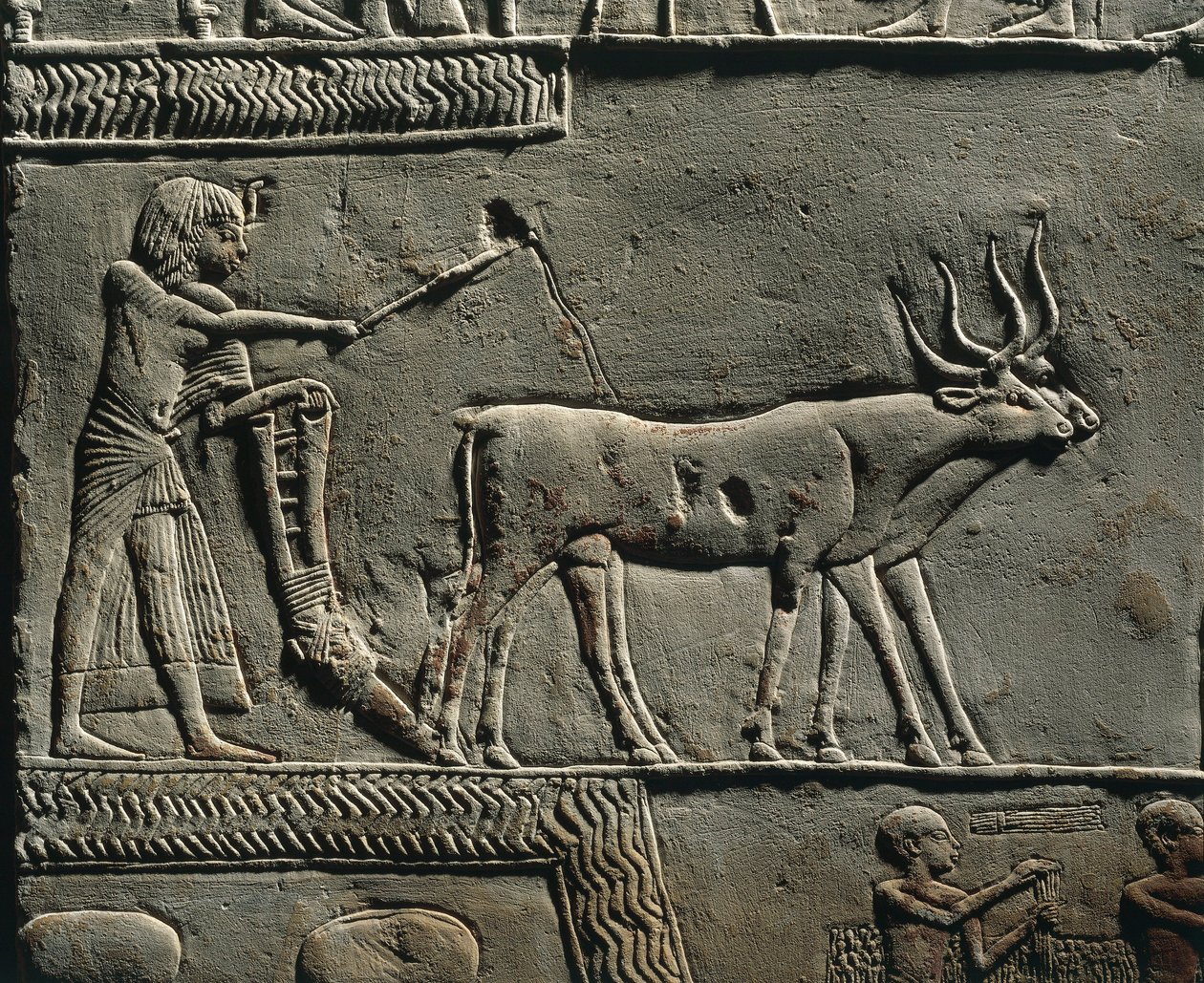 Horemheb die land ploegt in de velden van Iaru. Reliëf uit het graf van Horemheb in Saqqara (detail) door Egyptian 18th Dynasty