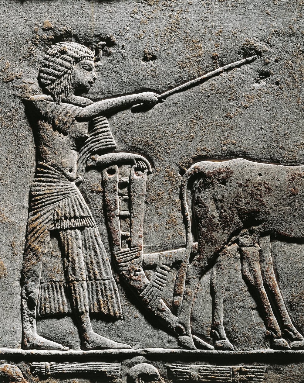 Horemheb ploegt land in de Velden van Iaru, reliëf uit het graf van Horemheb in Saqqara (detail) door Egyptian 18th Dynasty