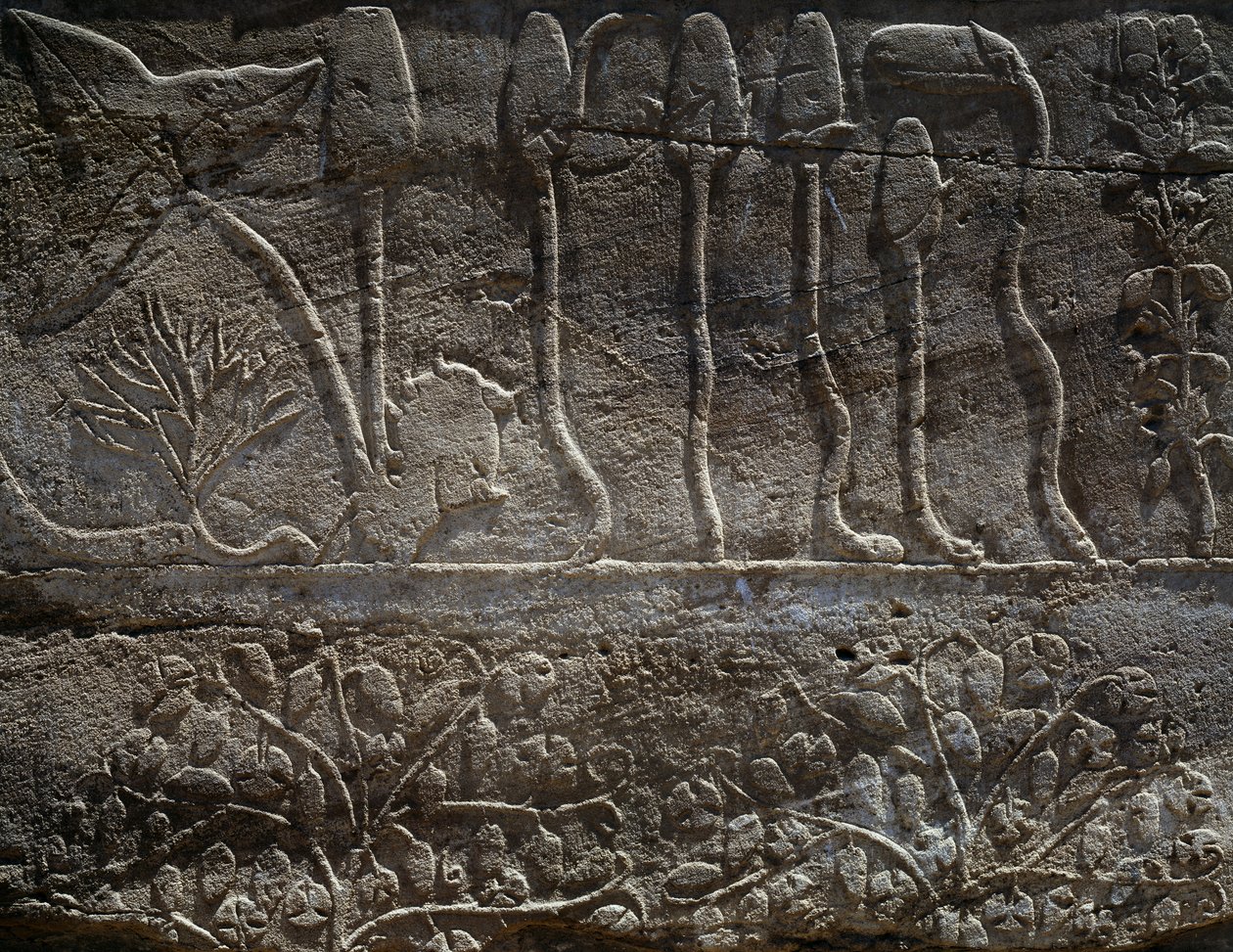 Planten teruggebracht van Thoetmosis III