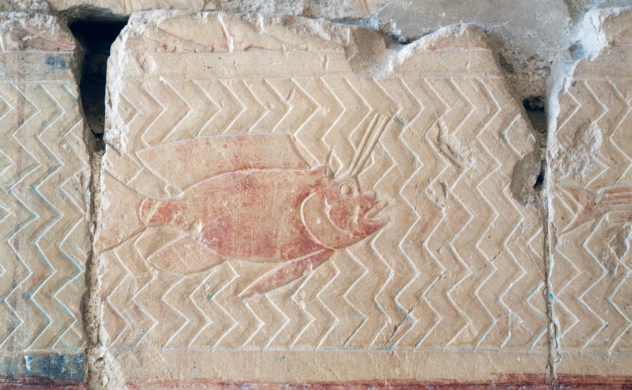 Reliëf van een vis, Dodentempel van Hatsjepsoet, Thebe door Egyptian 18th Dynasty