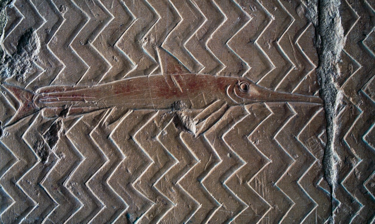 Afbeelding van vissen, scènes van Koninkrijk Punt, zuidmuur van centrale colonnade, Dodentempel van Hatsjepsoet, Deir el-Bahari, Luxor, Thebe (UNESCO Werelderfgoedlijst) door Egyptian 18th Dynasty