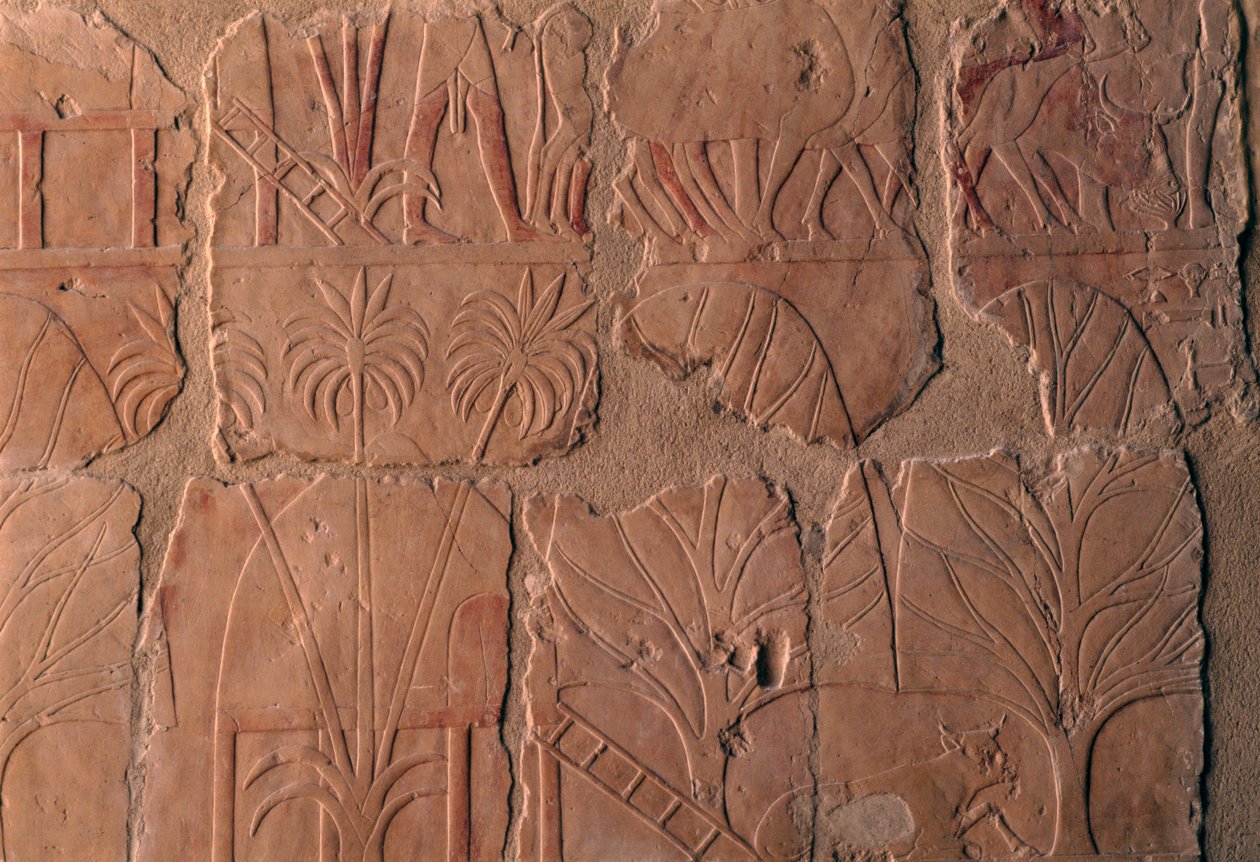 Dorp met hutten, scènes van het koninkrijk Punt, zuidmuur van de centrale zuilengalerij, Dodentempel van Hatsjepsoet, Deir el-Bahari, Thebaanse Necropolis door Egyptian 18th Dynasty