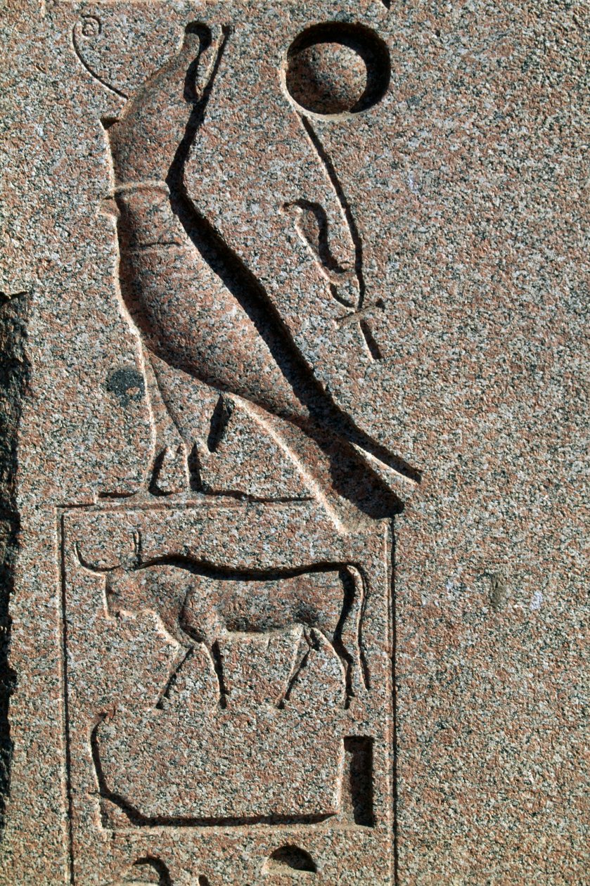 Hiëroglief met de naam van Horus, Grote Tempel van Amon, Tanis, Egypte, Nieuwe Koninkrijk, Dynastie XIX door Egyptian 19th Dynasty
