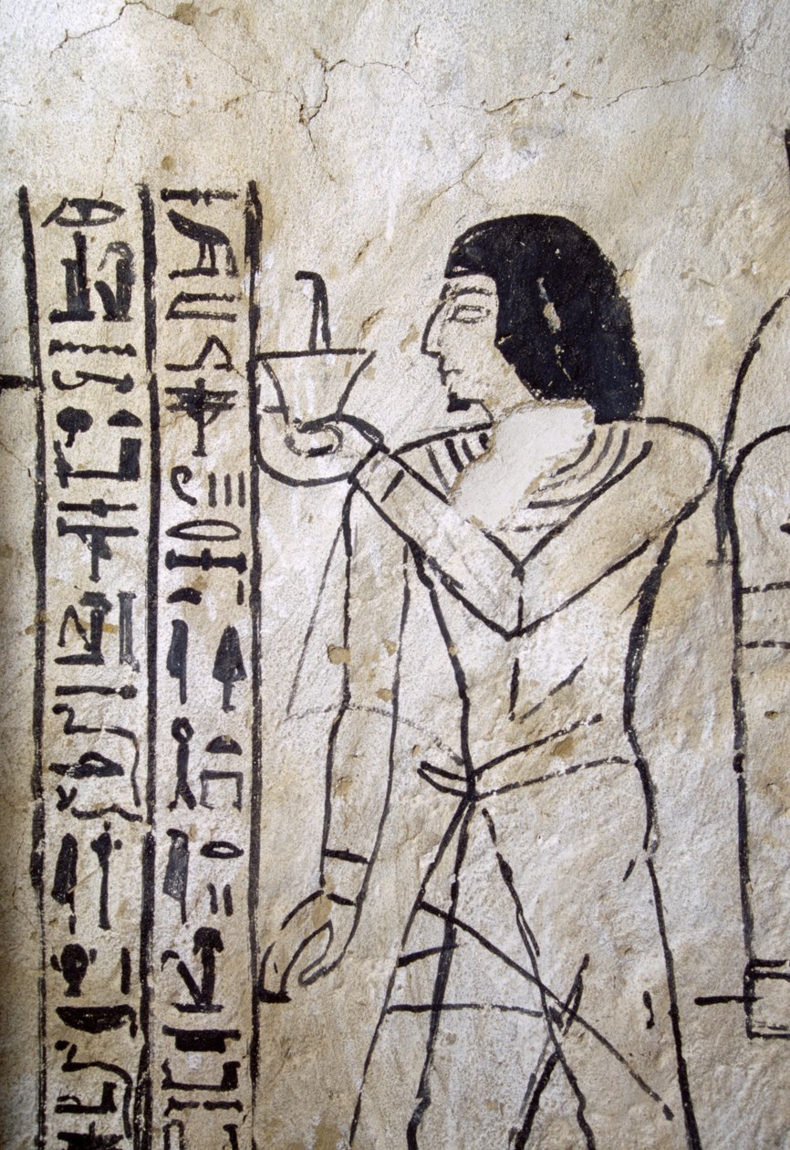 Afbeelding van het dodenboek, graf van Nakhtmin, Abusir, Egypte, Egyptische beschaving, Nieuwe Rijk, Dynastie XIX door Egyptian 19th Dynasty