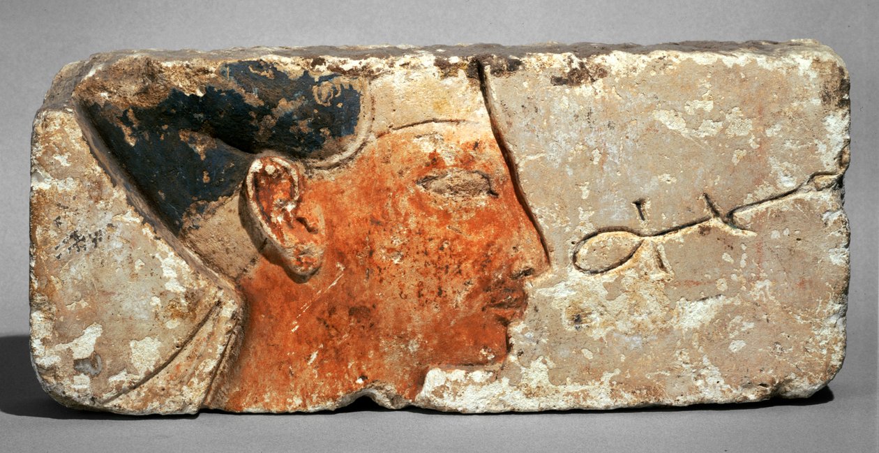 Profiel van een koning, waarschijnlijk Ramses II - Profiel van farao Ramses II. Beschilderd kalksteen ... door Egyptian 19th Dynasty