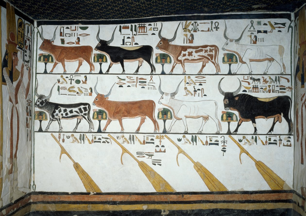Zeven hemelse koeien, stier en vier roerbladen, hoofdstuk 148 van het Dodenboek (detail) door Egyptian 19th Dynasty