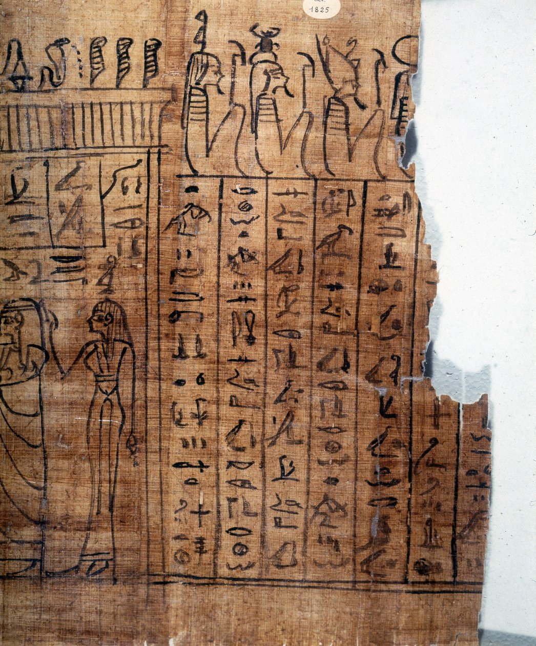 Het Dodenboek: Egyptische hiëroglief op een papyrus van de 22e dynastie. Detail. 9e eeuw v.Chr. Turijn, Egyptisch Museum door Egyptian 22nd Dynasty