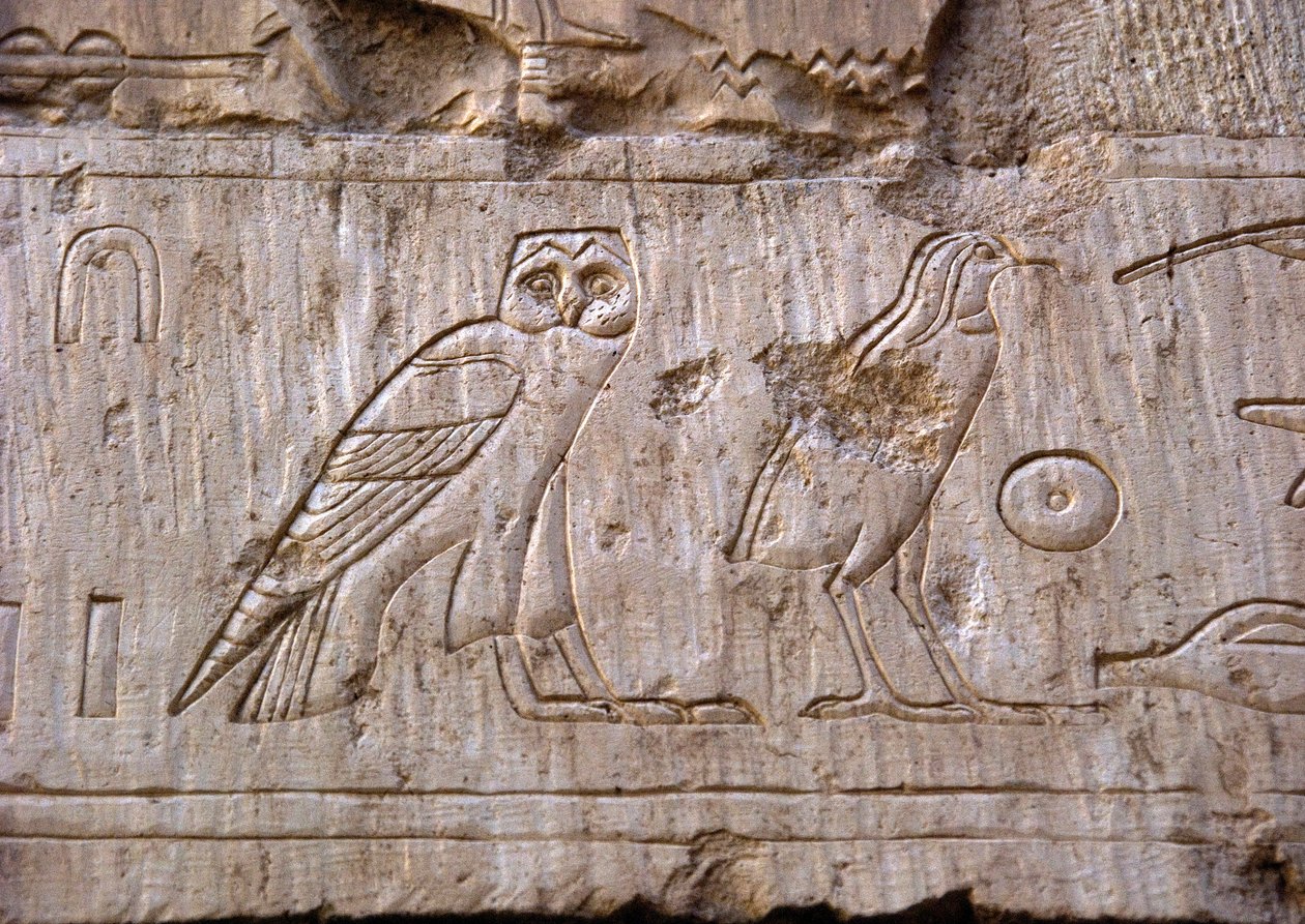 Egyptische oudheid: reliëf van een uil en een adelaar. Graf van Ankh-Hor (TT414) (26e dynastie, 672-525 v.Chr.), Luxor (Thebe), Egypte door Egyptian 26th Dynasty