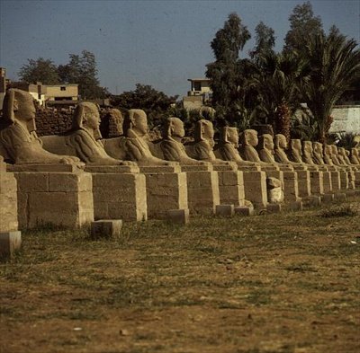 Laan van Sfinxen, toegevoegd door Nectanebo I (380-362 v.Chr.) Late Periode door Egyptian 30th Dynasty