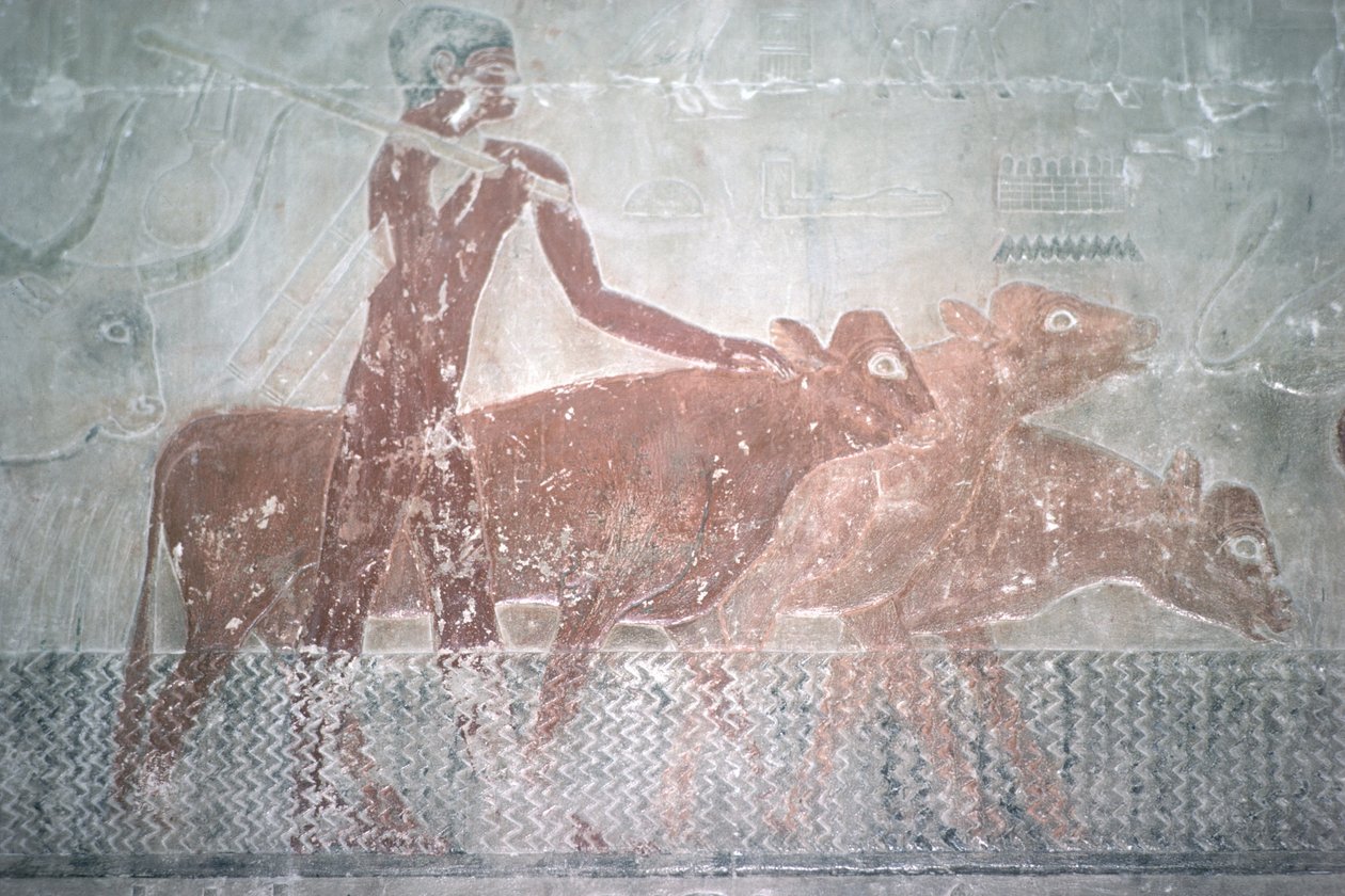 Vee dat een kanaal oversteekt in de Mastaba-kapel van Ti door Egyptian 5th Dynasty