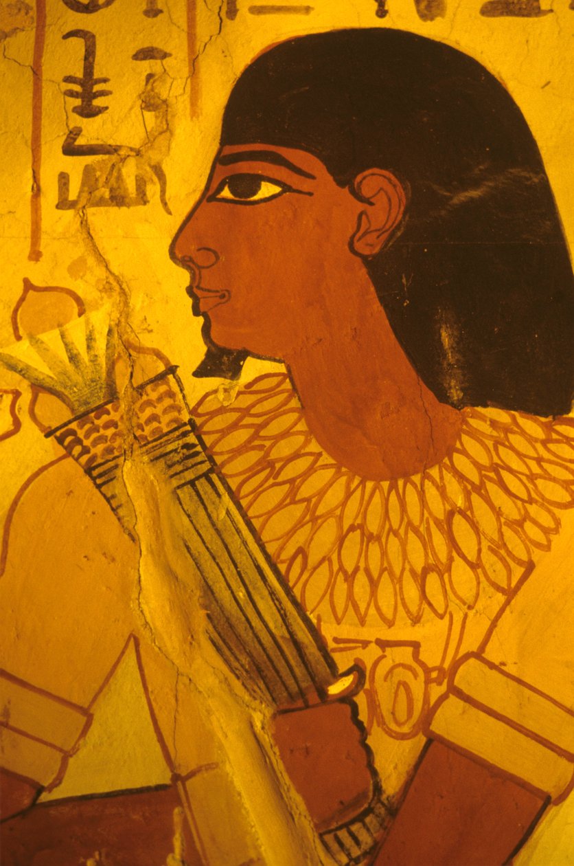Tomb of Sennufer, Sennufer ontvangt lotusbloemen, Burgemeester van Thebe, opzichter onder Amenophis II door Egyptian Egyptian