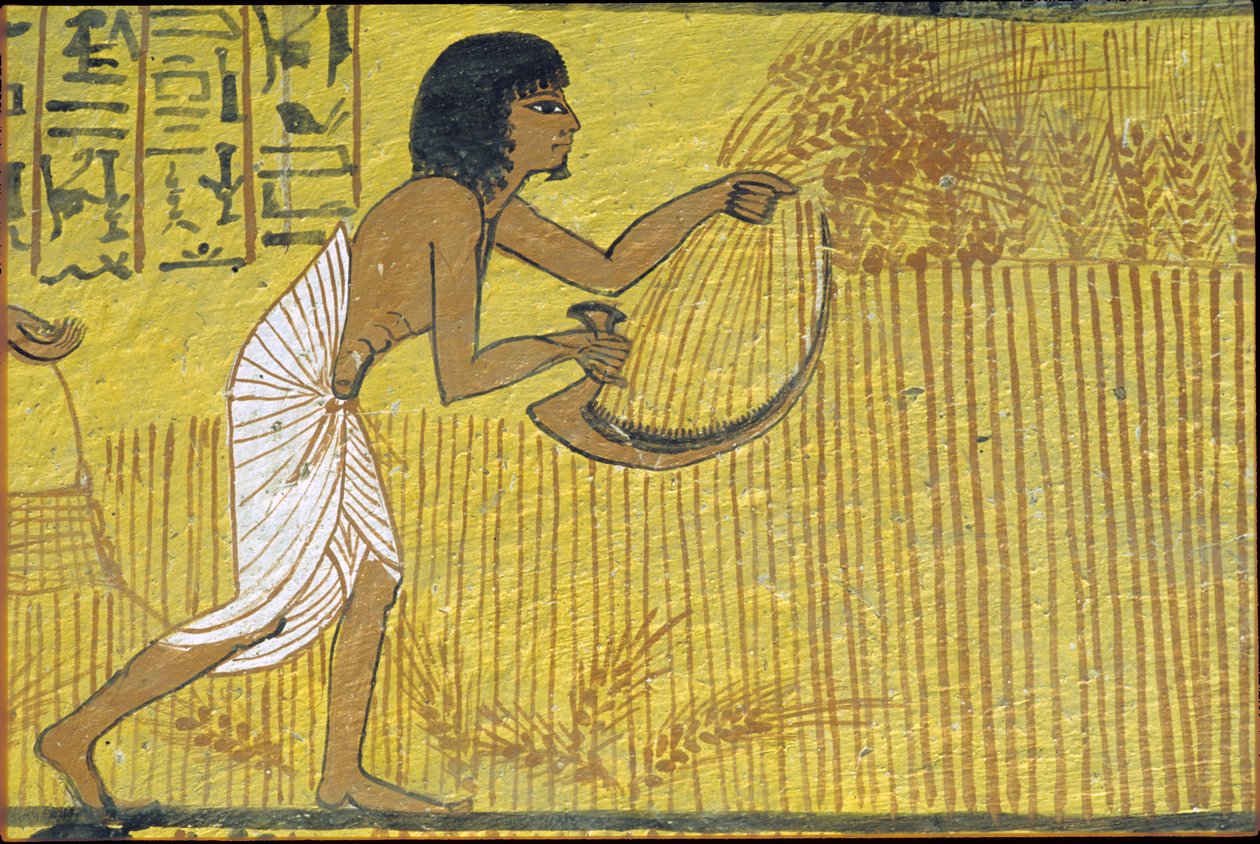 Oud Egypte, muurschildering, graf van Sennedjem, graf van de edelen, Thebe, Deir el Medina door Egyptian Egyptian