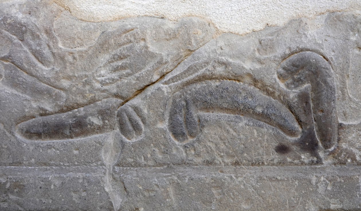 Stapels mannelijke geslachtsdelen afgesneden door de vijand, Tempel van Horus, Edfu door Egyptian Egyptian