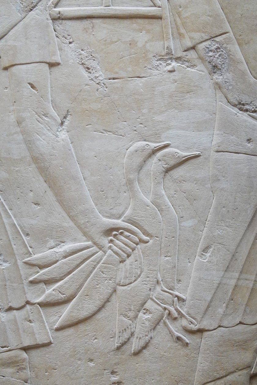 Hand die 2 ganzen bij de vleugels houdt, graf van Ramose door Egyptian Egyptian
