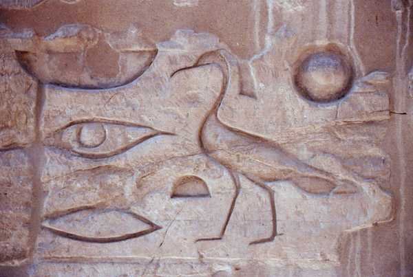 Hiërogliefen van een kolom, Luxor Tempel door Egyptian Egyptian