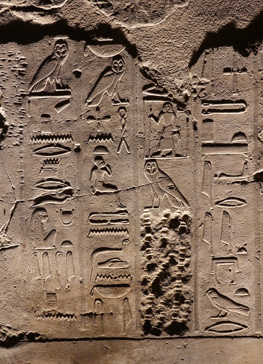 Hiërogliefen, Luxor Tempel (reliëf) door Egyptian Egyptian