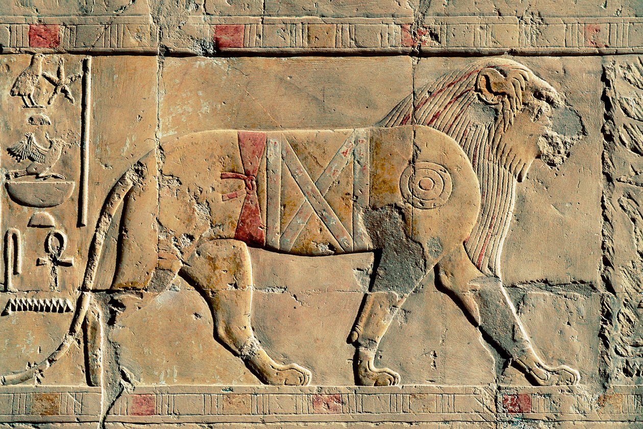 Leeuw, Senenmut, Tempel van Hatshepsut, Dayr al-Bahri, Egypte door Egyptian Egyptian