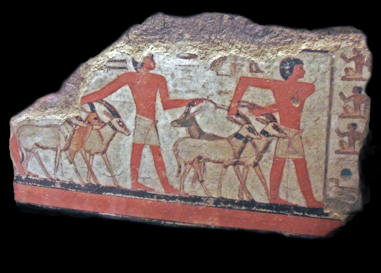 Woestijn (oryx, gazellen) worden voor Metchetch gebracht. Oude Egyptische muurschildering door Egyptian Egyptian
