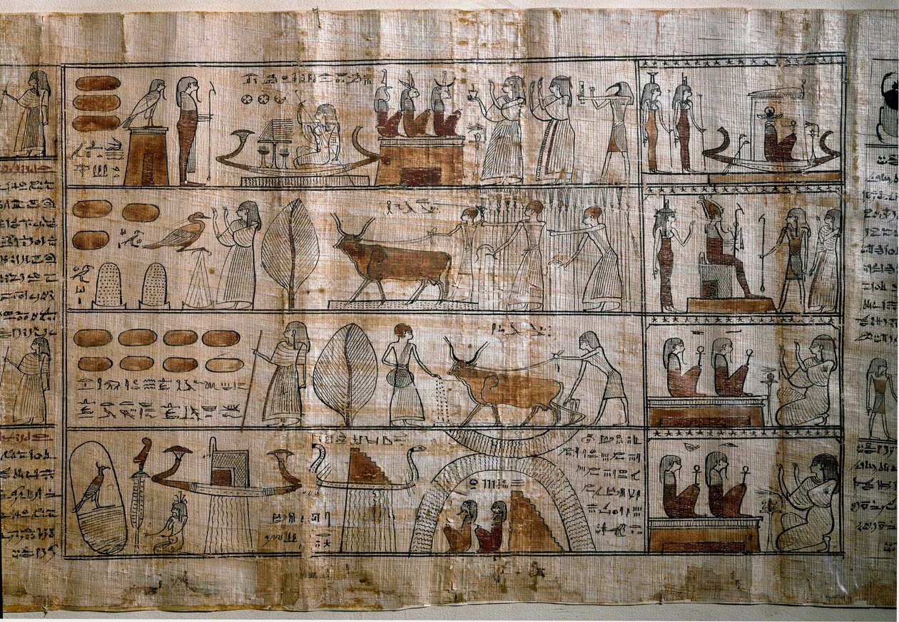 Egyptische oudheid: de Elyseïsche Velden. Papyrus van een Dodenboek. Ptolemeïsche periode. Turijn, Egyptisch Museum door Egyptian Ptolemaic Period