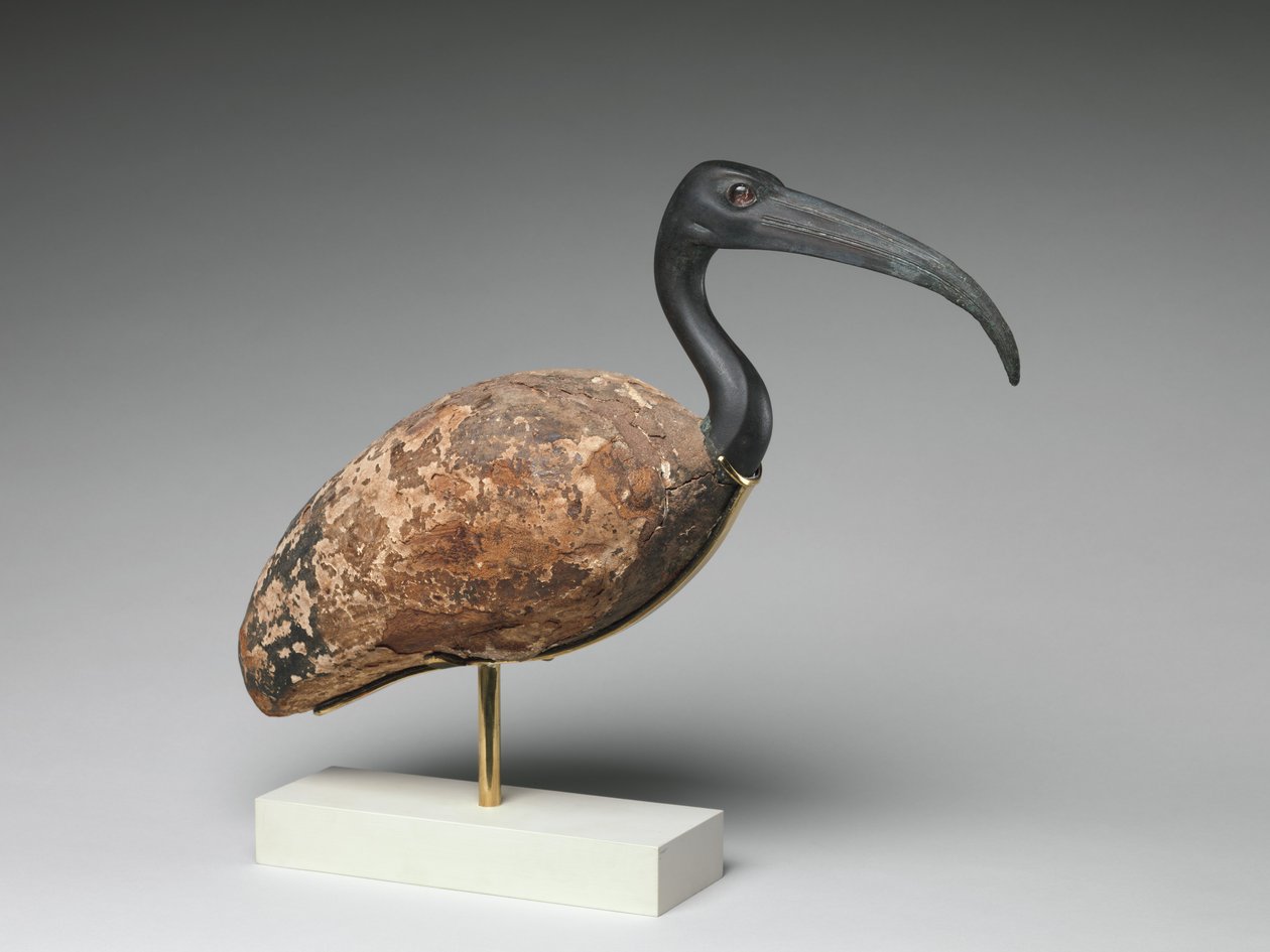 Ibis (beschilderd hout en brons, glazen ogen) door Egyptian Ptolemaic Period